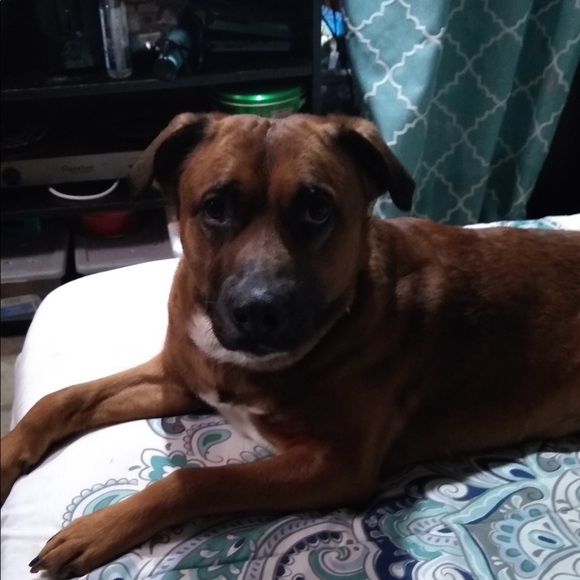 Meet your Posher, Heather - Picture 2 of 8